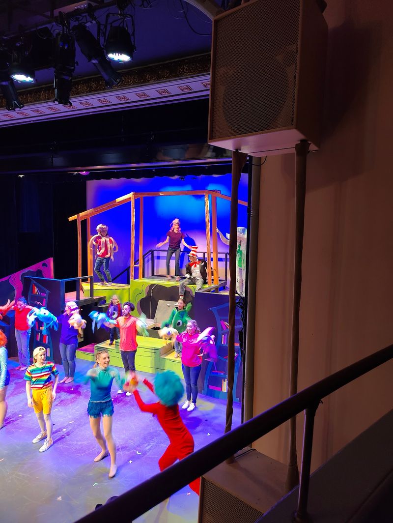 Musicals, Family Movies, And Live Concerts