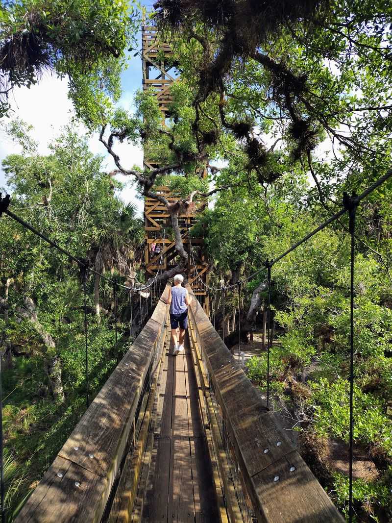 Myakka River State Park, Sarasota County
