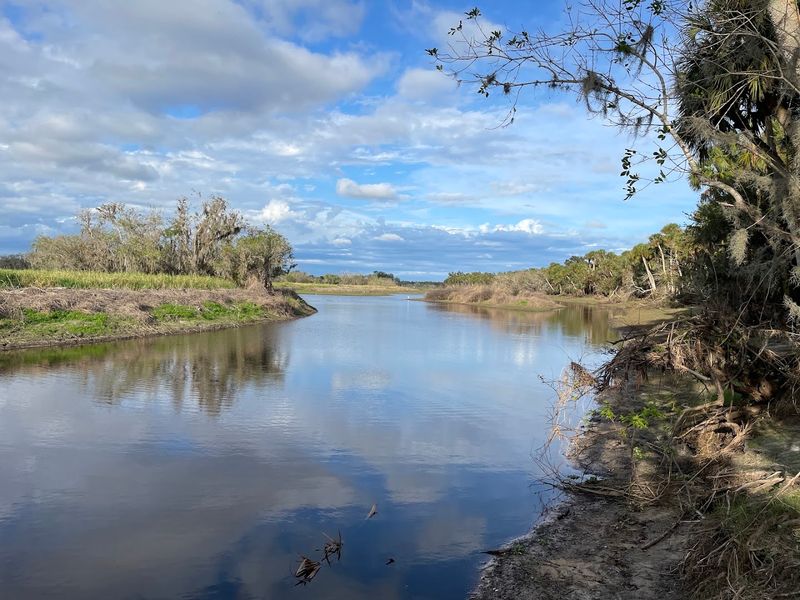 Myakka River State Park, Sarasota, FL