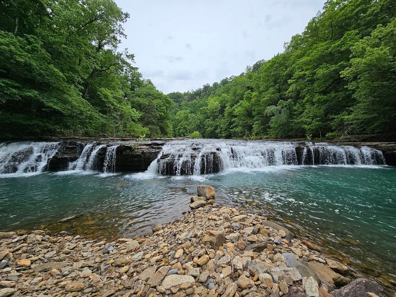 Ozark National Forest (Big Piney Ranger District)
