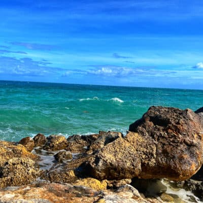 Bermuda Shore Excursions Review