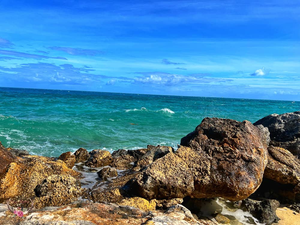 Bermuda Shore Excursions Review