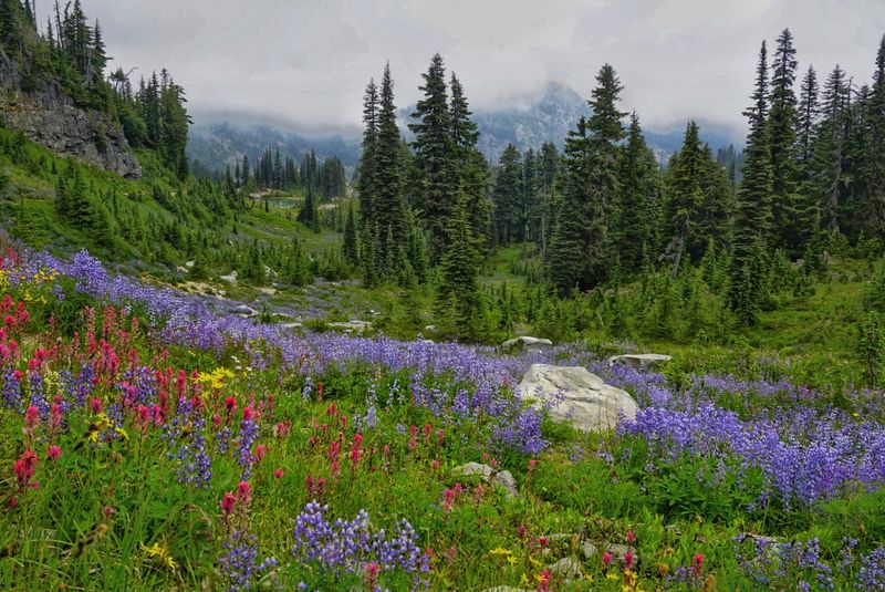 Naches Peak Loop, Mount Rainier Area Naches Peak Loop, Mount Rainier Area