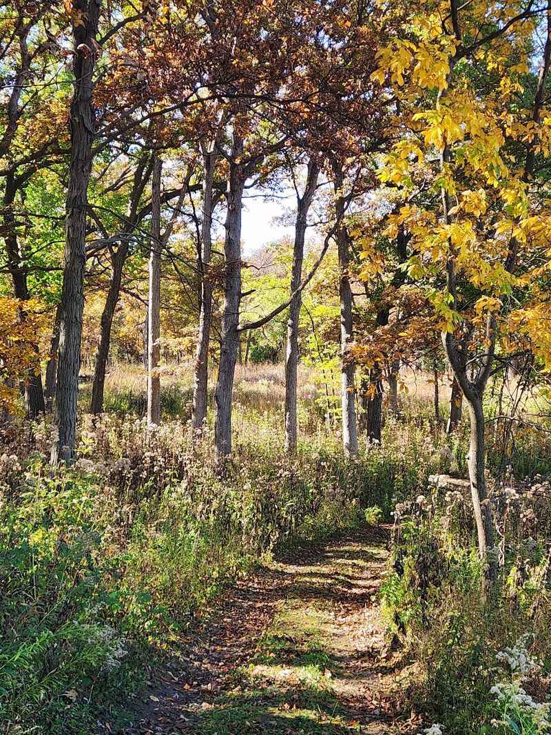 Nachusa Grasslands