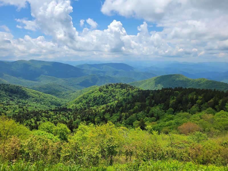 Nantahala National Forest