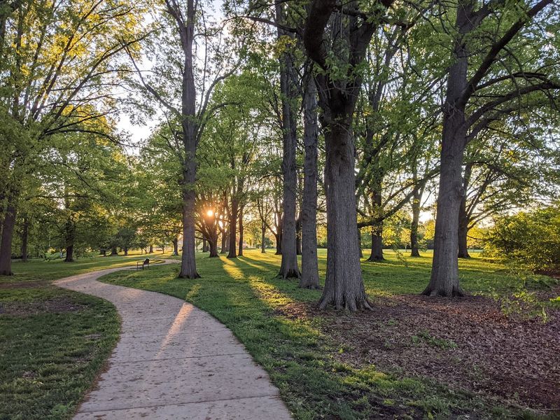 Champaign-Urbana, Champaign County