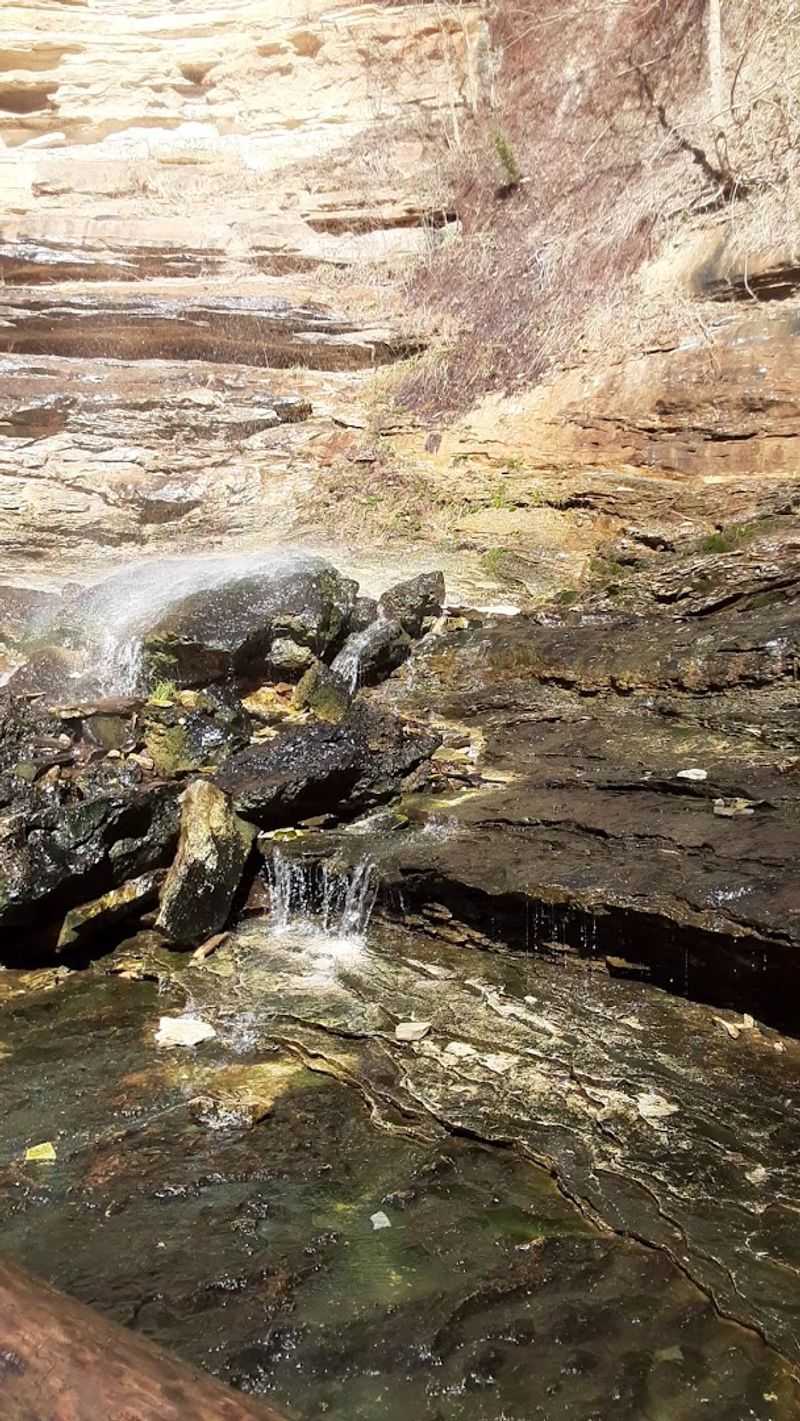 Sheer Bluffs Above Slow Glassy Bends