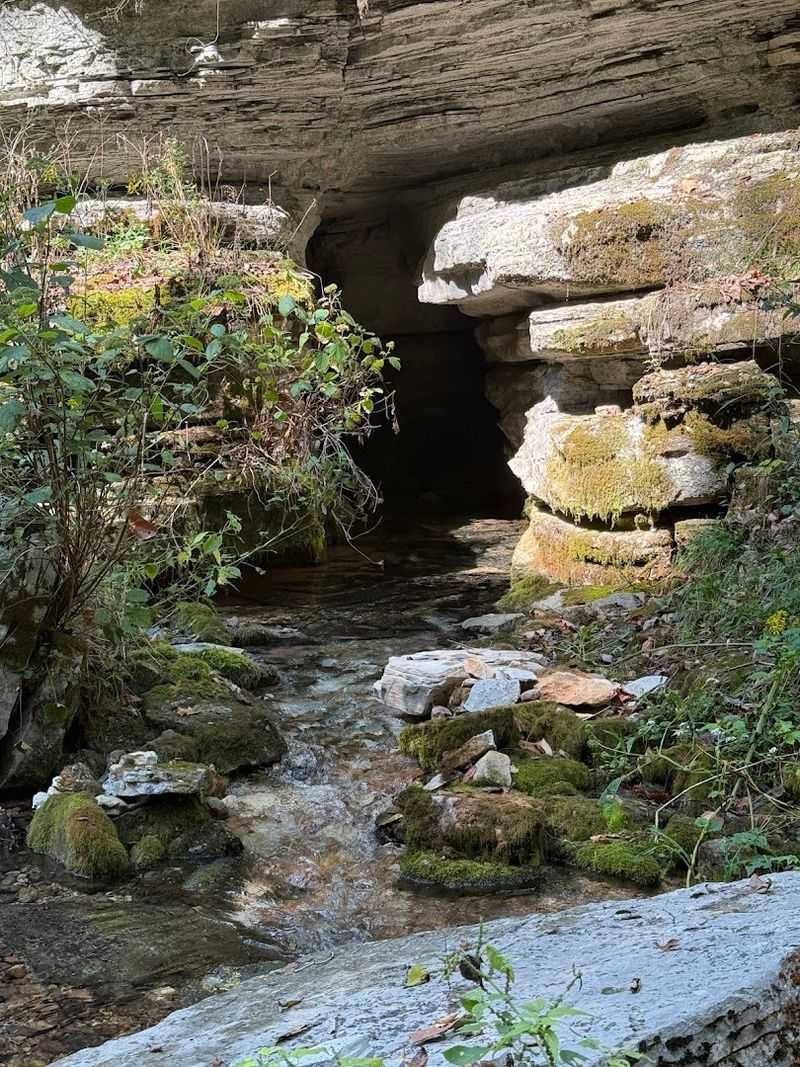 Seasonal Water Flow Creating Gentle Falls And Hidden Channels