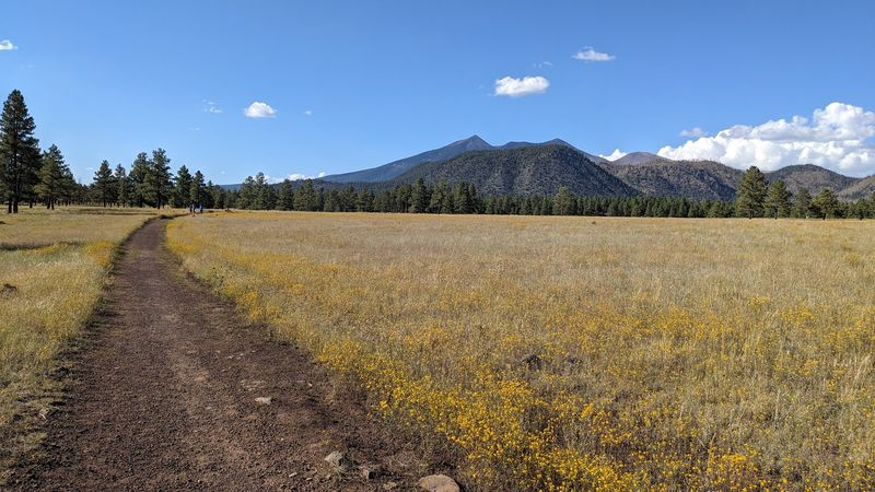 Nate Avery Trail At Buffalo Park, Flagstaff Nate Avery Trail At Buffalo Park, Flagstaff