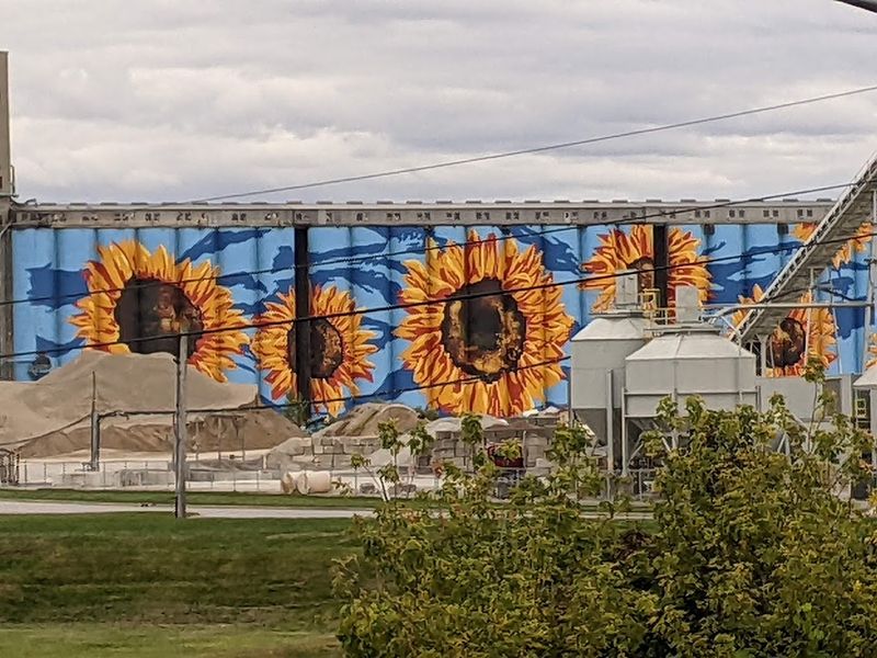 Practical Tips Before You Visit