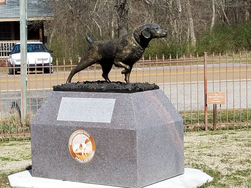 National Bird Dog Museum