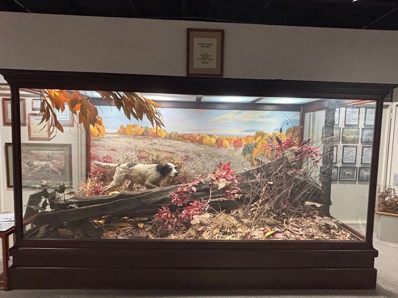National Bird Dog Museum