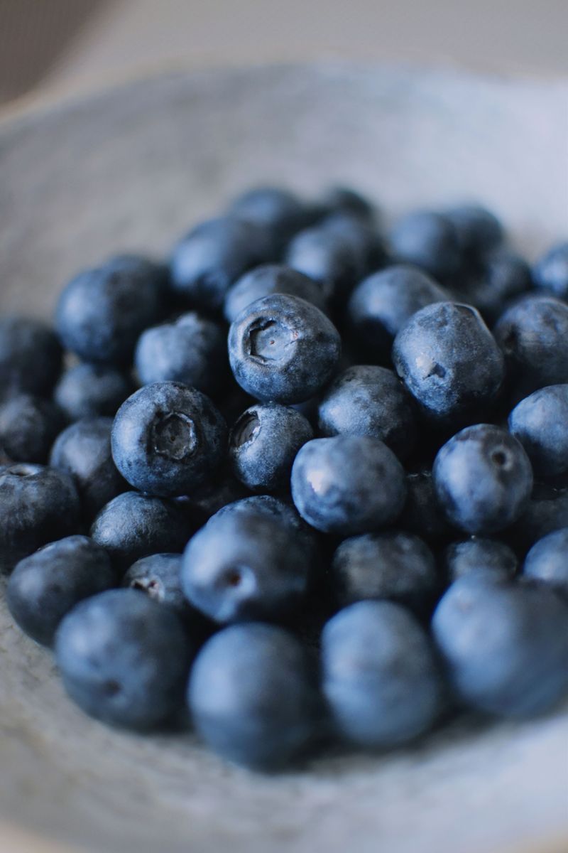 National Blueberry Festival