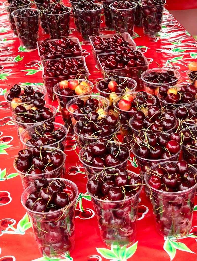 National Cherry Festival, Traverse City