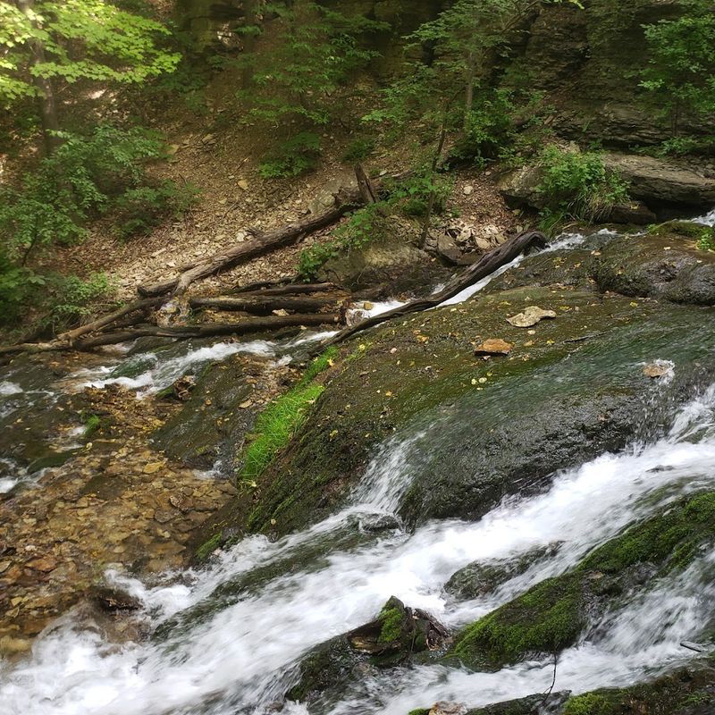 Dunning's Spring Park