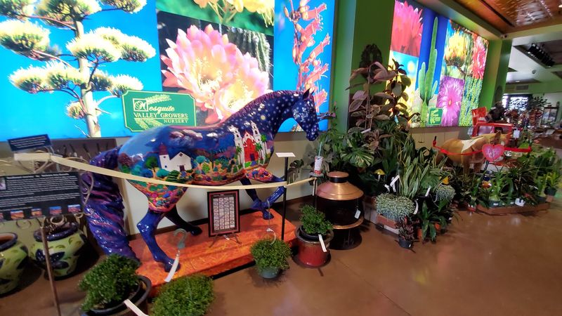 Native And Drought-Tolerant Plants