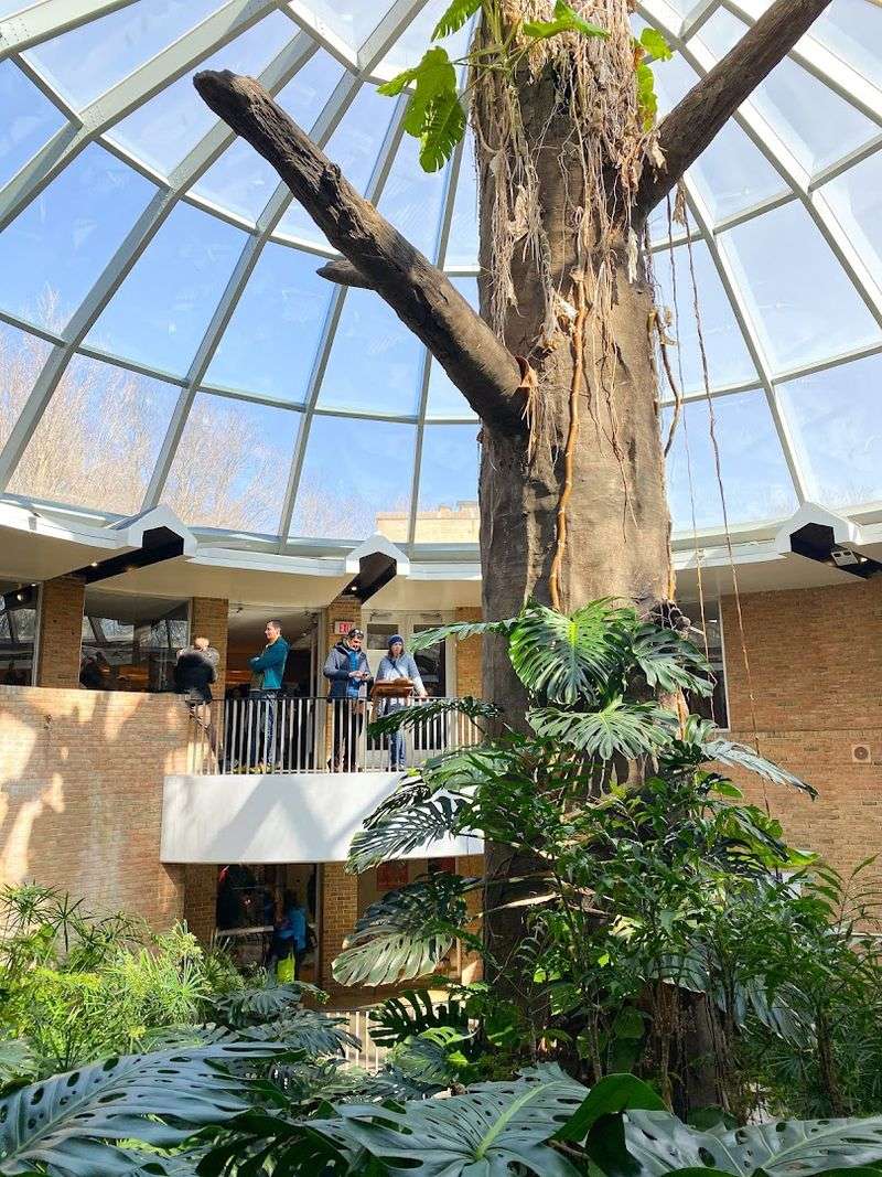 Visitor Center Vantage