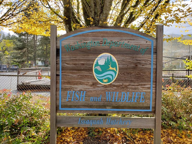 Native Plant Garden Loop