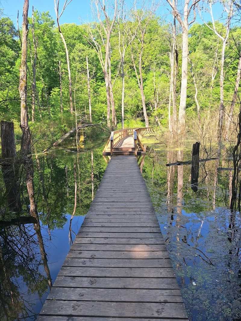 Making the Most of Your Yellow Springs Visit