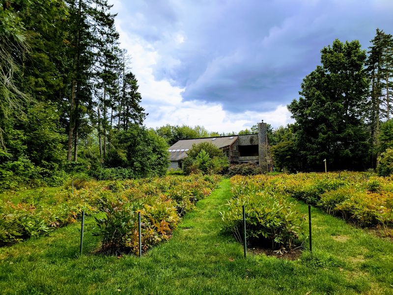 Native Plants Are A Big Part Of The Story