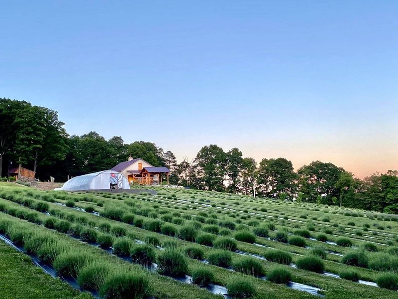 Free Admission And A Community Spirit That Keeps People Coming Back