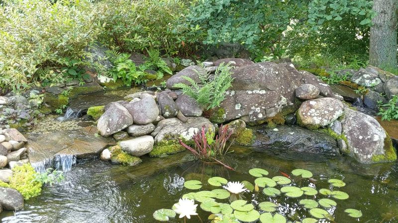 Native Woodland Garden And Nature Trail