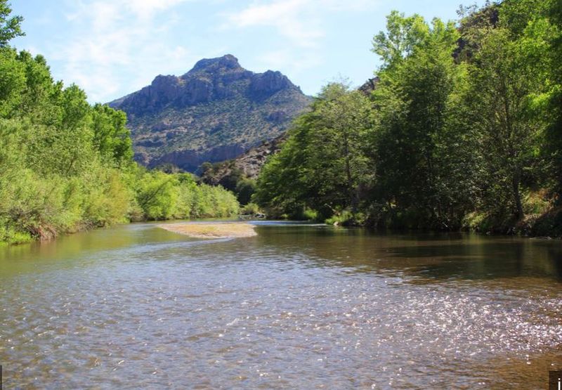 Natural Beauty And Outdoor Living On A Retiree Budget