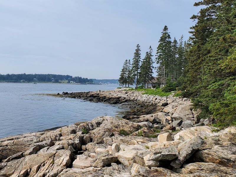 Natural Beauty Surrounding The Site