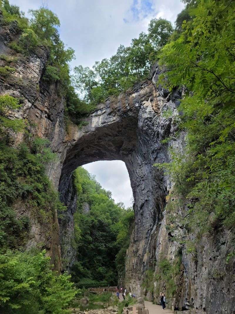 Natural Bridge State Park Natural Bridge State Park