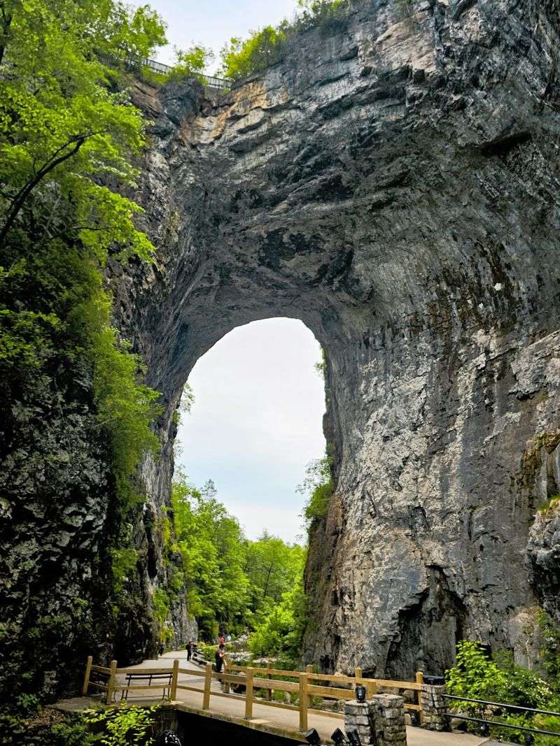 Natural Bridge State Park Natural Bridge State Park