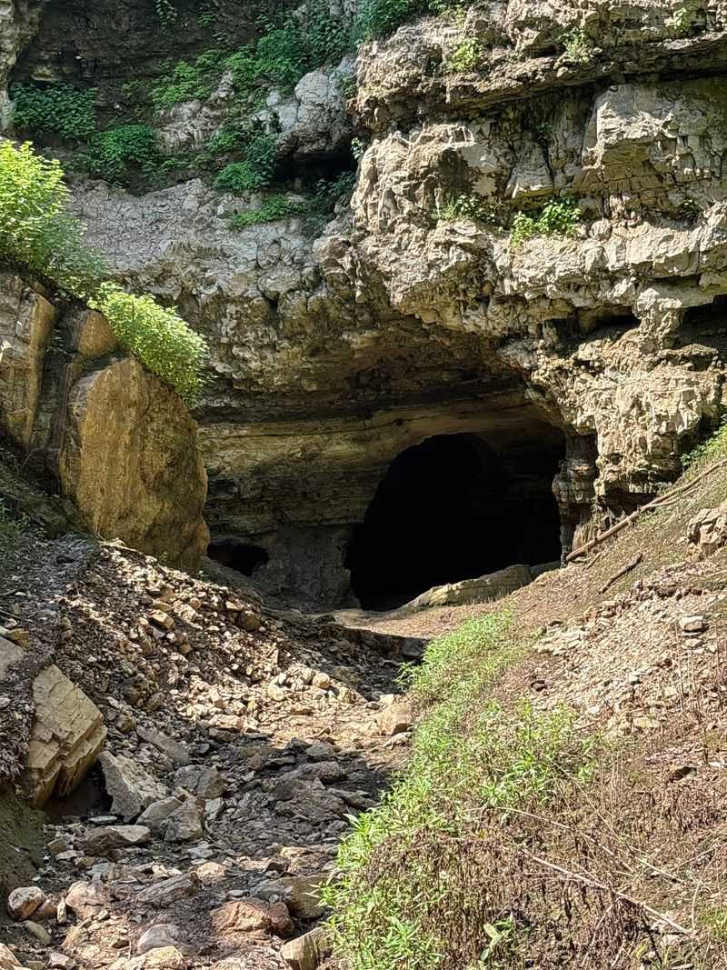 Natural Bridge Trail At Grand Gulf State Park