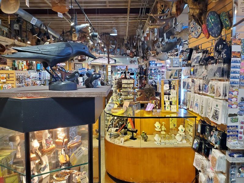 Natural History Specimens
