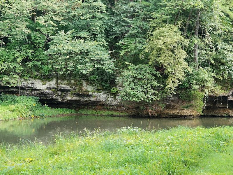Natural Scenery Year-Round