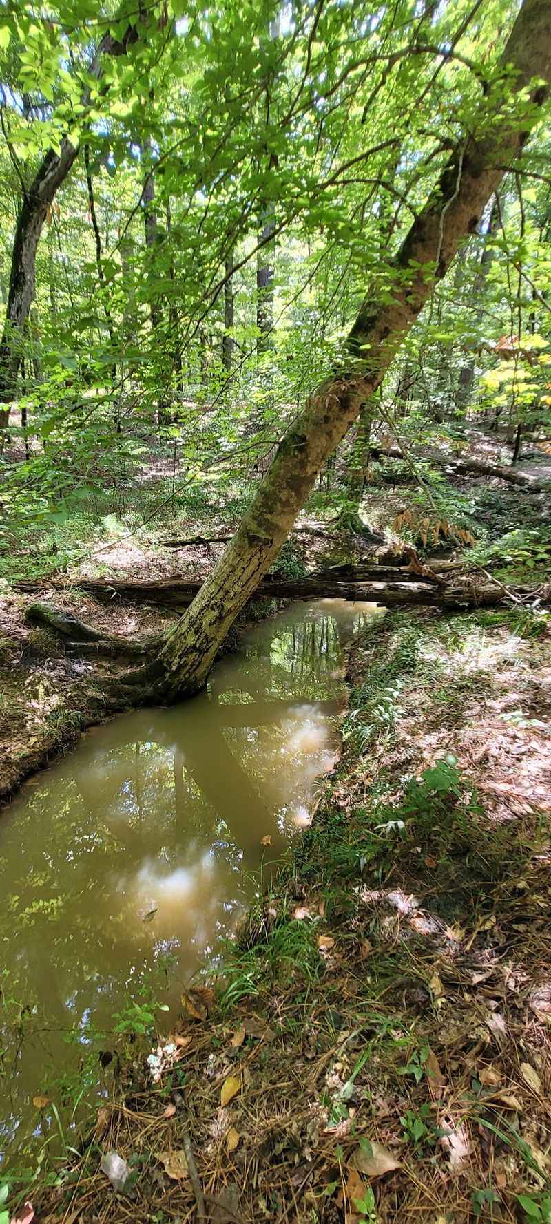 Natural Springs Add An Unexpected Twist Natural Springs Add An Unexpected Twist