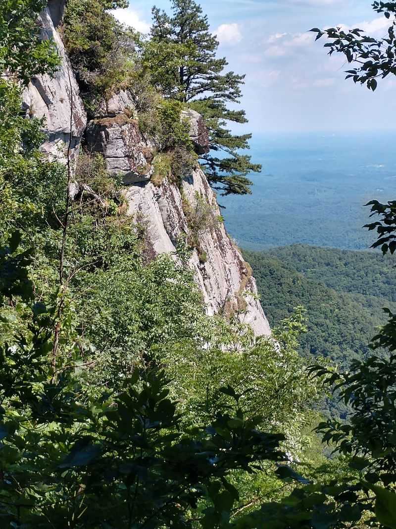 Naturaland Trust Trail