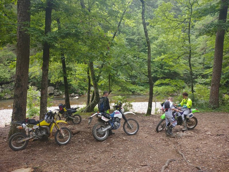 What Makes This Ride Truly Unforgettable