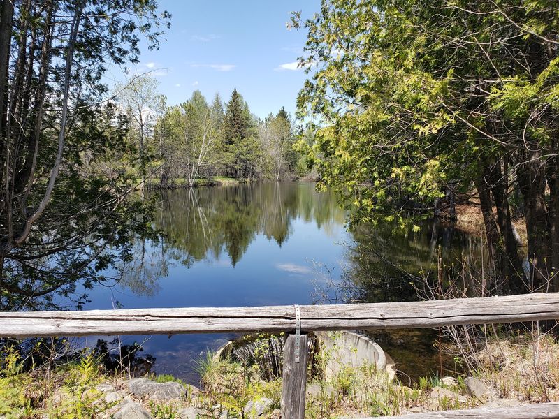 Nature And Outdoor Fun Right Out The Door