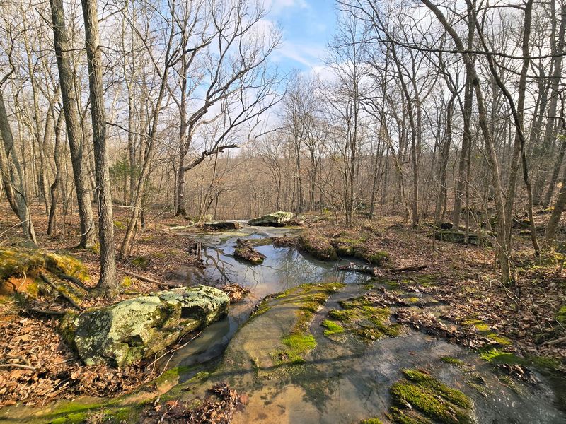 Nature And Outdoor Rambles Nearby