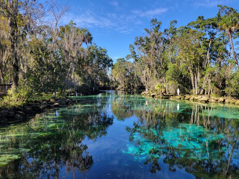 Nature Coast Charm Keeps Things Laid-Back