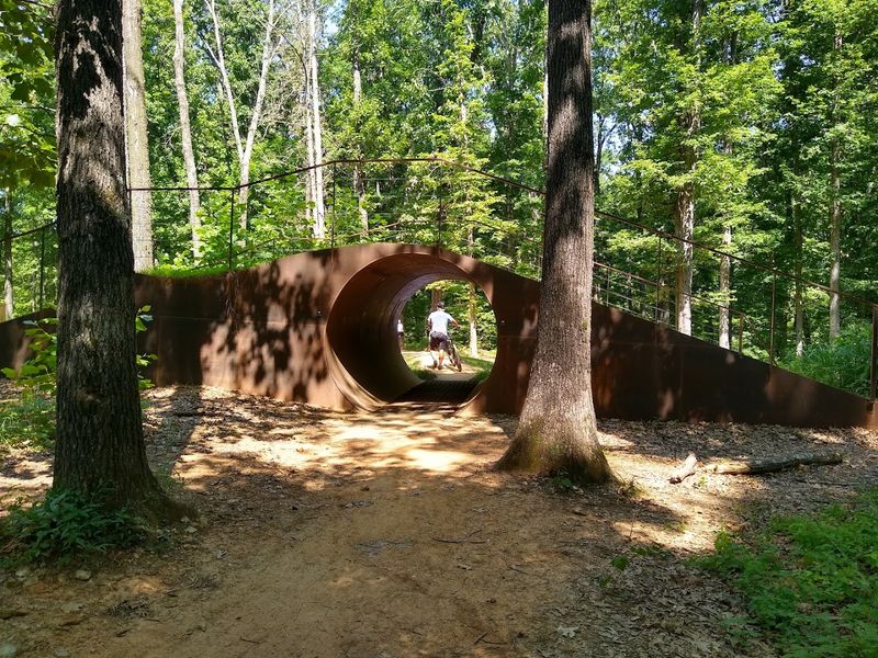 Where High Energy Trails Meet Pure Stillness