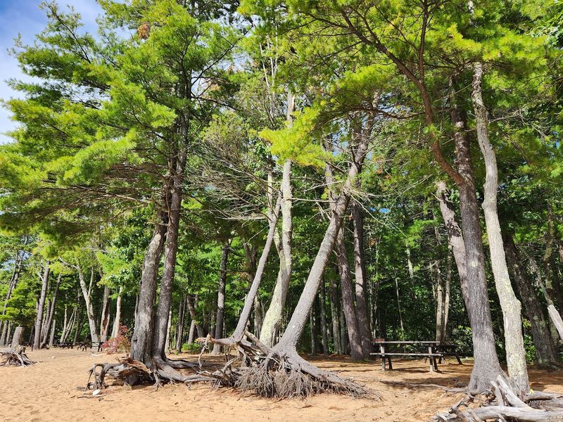 Nature Programs For Curious Minds