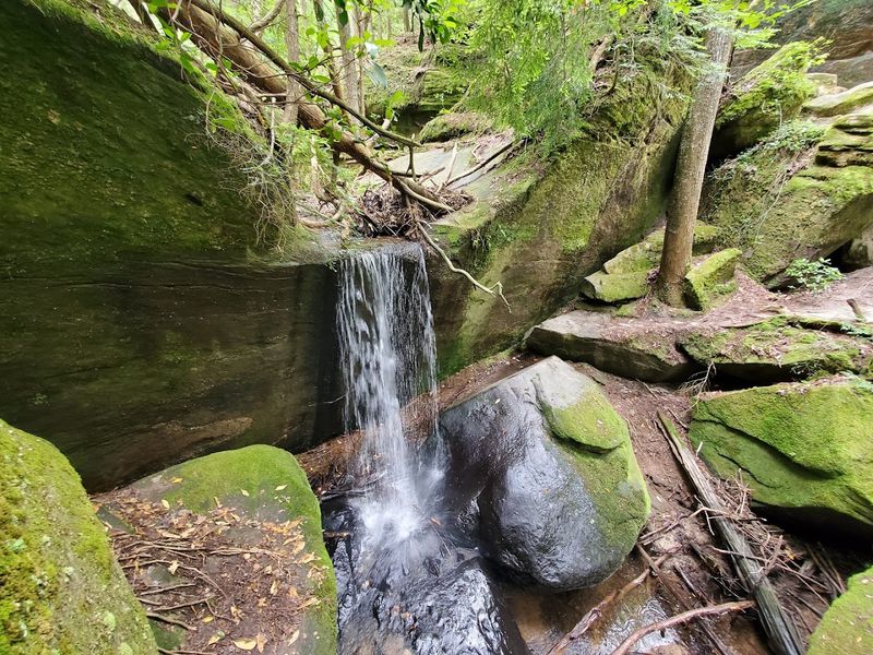  Where Every Step Is A Photo Opportunity