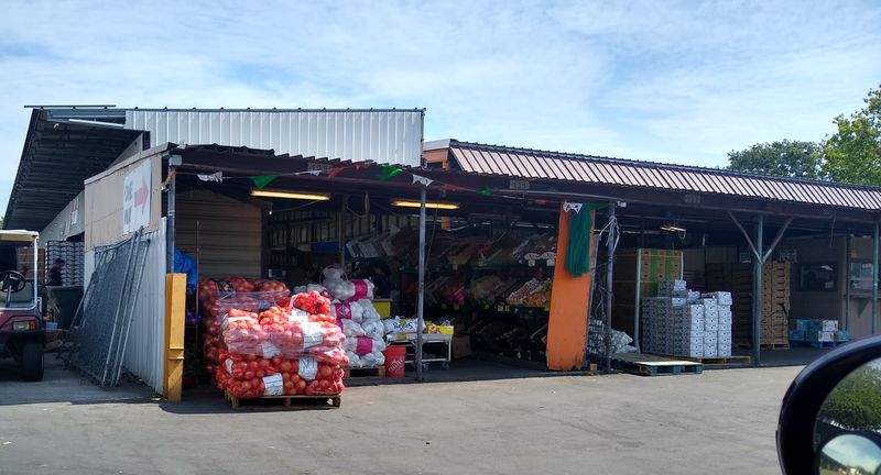 Affordable Activities Worth Every Penny