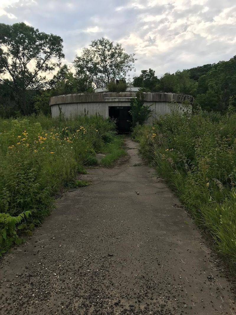 Nature Took The Place Back Nature Took The Place Back