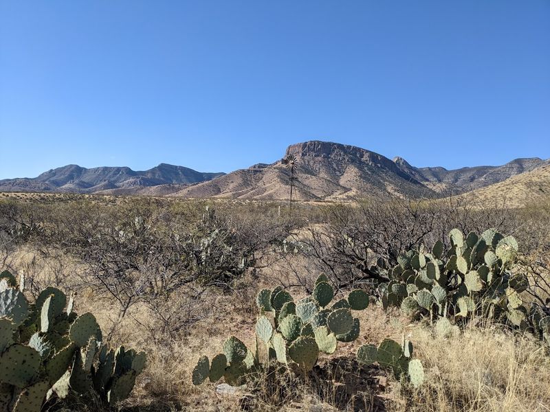 Foothills Loop Trail, Kartchner Caverns State Park