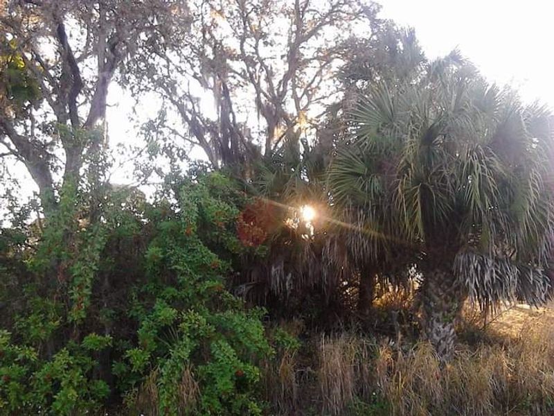 Nature Trails At Lemon Bay Park