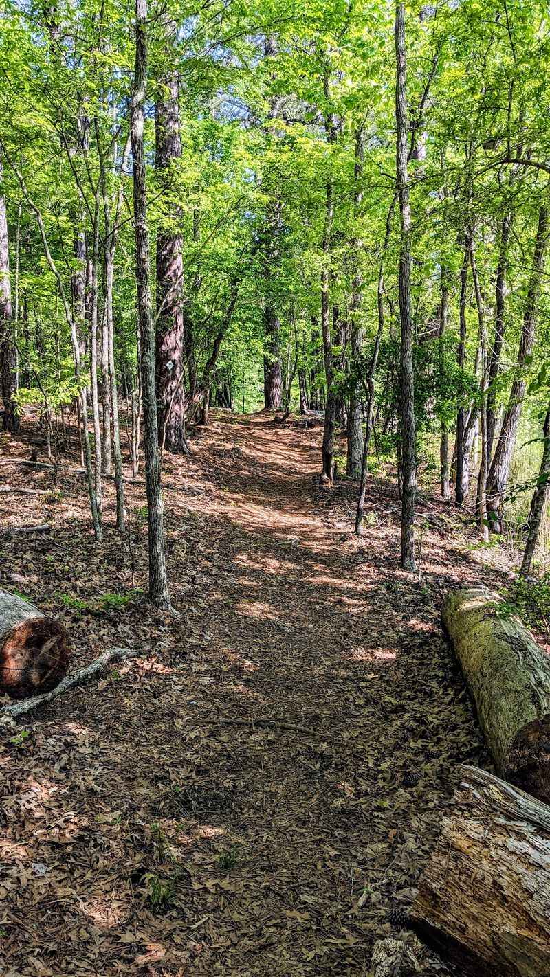 Nature Trails Made For Easy Wandering