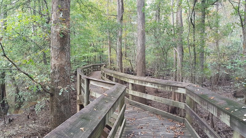 Nature Trails, Plus A Trick To Avoid Getting Lost
