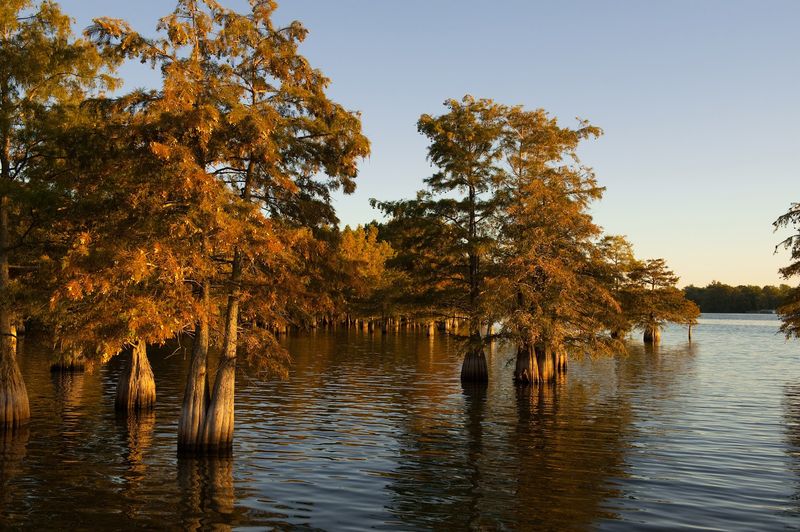 Time Moves Differently Here