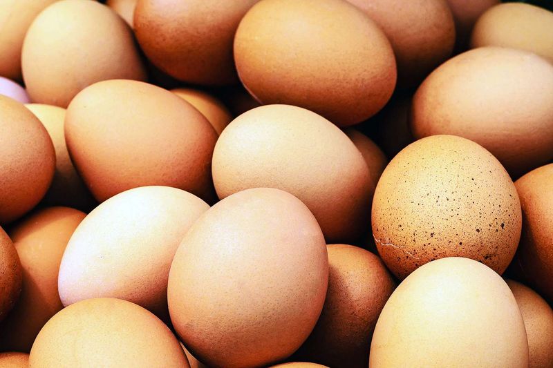 Trader Joe's Cage-Free Eggs